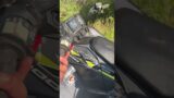 Moving a Tree with a Winch: Polaris XP 1000 to the Rescue!