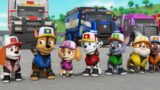 PAW PATROL Big TRUCK PUPS Stop a Flood!!! New Pup AL