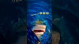 Scariest Ocean Encounters Caught on Camera