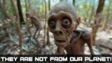 Scientists Stumped! Hunting Camera Captures BEINGS OF EXTRATERRESTRIAL ORIGIN!