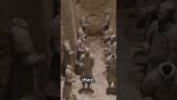 Terracotta Secrets: The Mausoleum of the First Qin Emperor