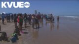 Texas shark attack: Beachgoers react after 4 hurt on South Padre Island