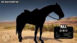 The Horse with Perfect Combination of Speed and Bravery | Red Dead Redemption 2