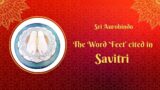 The Word  'F E E T' cited in Savitri, Sri Aurobindo