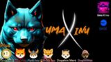 Wealth Transfer Black Shiba Inu Uma X Inu a Brand new Japanese Coin on the Base Network plus Turbo