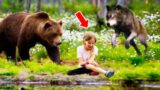 Wolf And Bear Surrounded The Girl, She Thought It Was The End, But Suddenly The Unexpected Happened.