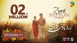 Zard Patton Ka Bunn – Episode 11 [CC] – 21 July 24 – Mothercare, Master Paints & Jhalak Beauty Cream