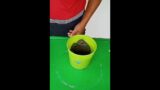 cement pot making | #dkcraft341