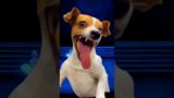 "Laughing Dog Troublemaker at the Ballet"