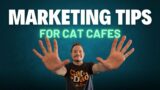 10 Marketing Tips For Cat Cafes