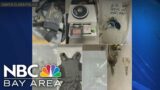 12 arrested in Santa Clara mail theft and fraud ring