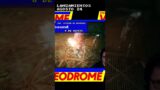 LANZAMIENTOS ACTUALES INTERESANTES | AGOSTO 2024 | VIDEODROME |