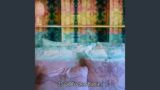 Beautiful Dreamscape