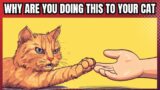 18 Things That Break Your Cats Heart