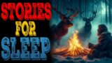 20 Scary Deep Wilderness Horror Stories PARK RANGER,cabin stories, Horror Stories To Fall Asleep To