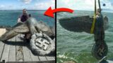 8 Most Incredible Discoveries From WW2! | WS DISCOVERY