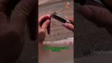 A Tense Moment that Ends Sweetly #animals #rescue #shortvideo #shorts