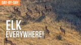Backcountry Elk Hunting With LLAMAS | Day by Day EP.1