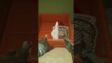 Check out my channel #gaming #4k60fps #back4blood #zombies #nocommentary