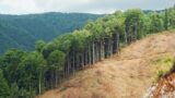 Earth Overshoot Day: Humanity burns through planet's yearly resources in 7 months