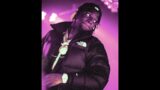 [FREE] Sleepy Hallow x Sheff G Type Beat – "City Lights"