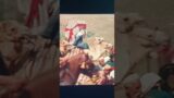 Fort Antonia ABOVE The Temple 1959 Ben Hur