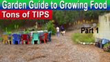 Garden Tour, SO MUCH MORE Spring GROWING TIPS, Growing Food Creating FREE Soil & Container Gardening