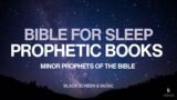 God's Prophetic Word For Your Sleep | The Bible for Relaxation & Sleep | Black Screen