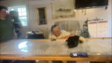 Goldy's Henny Penny Mail Chat Tea Time Carlene Carly Elizabeth Janine Chirpy and Chicklet TY 812024