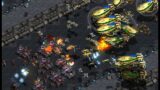 HAMBURGERSASU! SHINE! SKY! TOYCOP! THE 390 LIKES BROOD WAR STREAM!!!