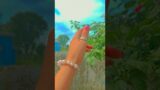 Hand dance #ankhiyan nu mere #shorts #viral #chandani singh @Chandauser #new #best