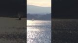 Hawaii Martin Mars Waterbomber Coulson Group Last Flight & Landing at Patricia Bay Sidney BC