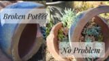 How to dress a broken pot with SUCCULENTS. (music only)