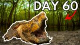 I Built An Ecosystem For An ALLIGATOR SNAPPING Turtle