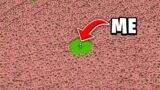 I Collected 1000 Armadillos in Minecraft Hardcore!