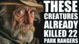 I've BEEN a Park Ranger in Yellowstone, These THINGS Are Here To Kill Us