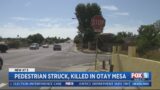 Man killed after driver runs stop sign in Otay Mesa West: police