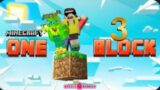 Minecraft One Block Ep 3: Sully joining us and more island exploring.