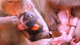 My God! The secret object stuck to the baby's leg, the rescue mom is trying to cut off the baby