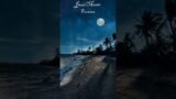 #Relaxing #Shorts Video's With #jazzmusic Amaizing Views Landscapes