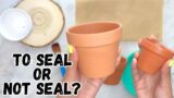 Seal or Skip? Prepping Terracotta Pots for Paint