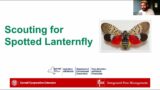Spotted Lanternfly Update | Box Tree Moth Update 8/2/2024