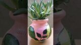 Terracotta Pot Painting & Planting| DIY Garden Transformation #indoorplants #propagation #shortsfeed