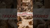 Unearthed in Ruins: The Broken Terracotta Warriors