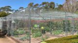 Vegetable Garden Enclosure – protecting your crop