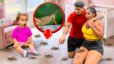 We FOUND BUGS In Baby ZELYS Room!