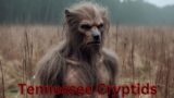 What Lurks in the Shadows of Tennessee: Cryptids Revealed