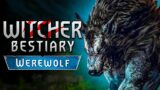Witcher. Bestiary. Werewolf