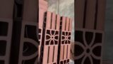 #tiles #decorativeitems #terracotta #jali #walldecorationideas terracotta jali tiles