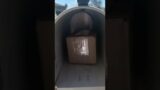Mail Time